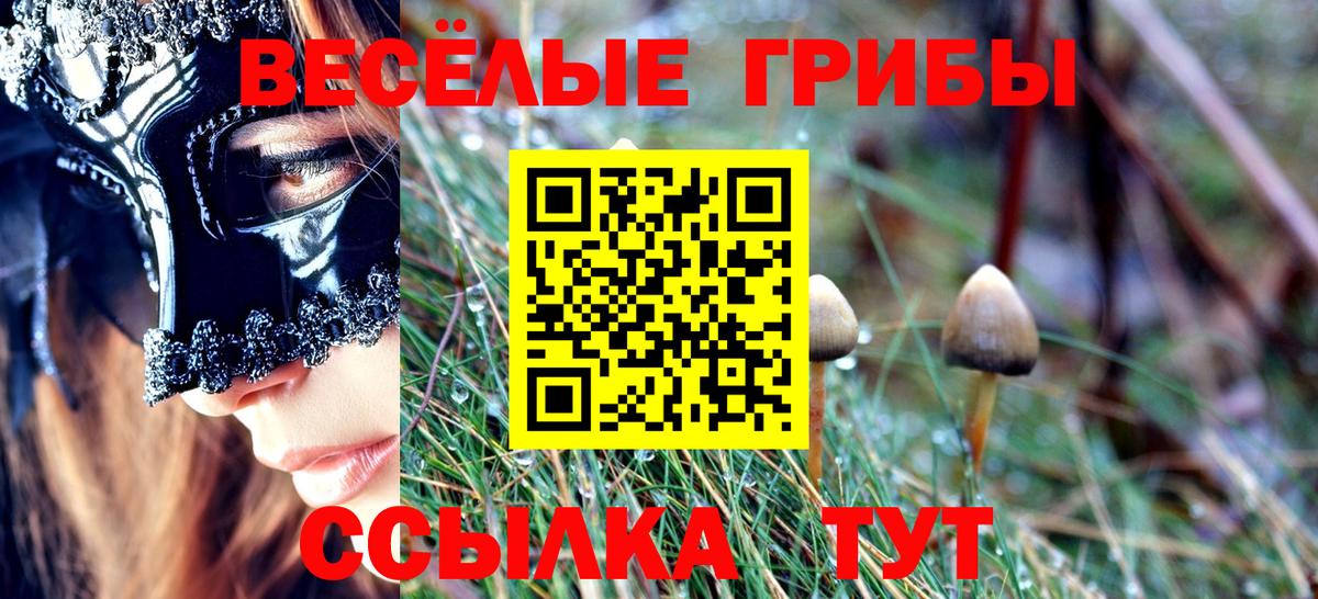 закладки  Вход с VPN  Верхняя Пышма  Галлюциногенные грибы Cubensis 